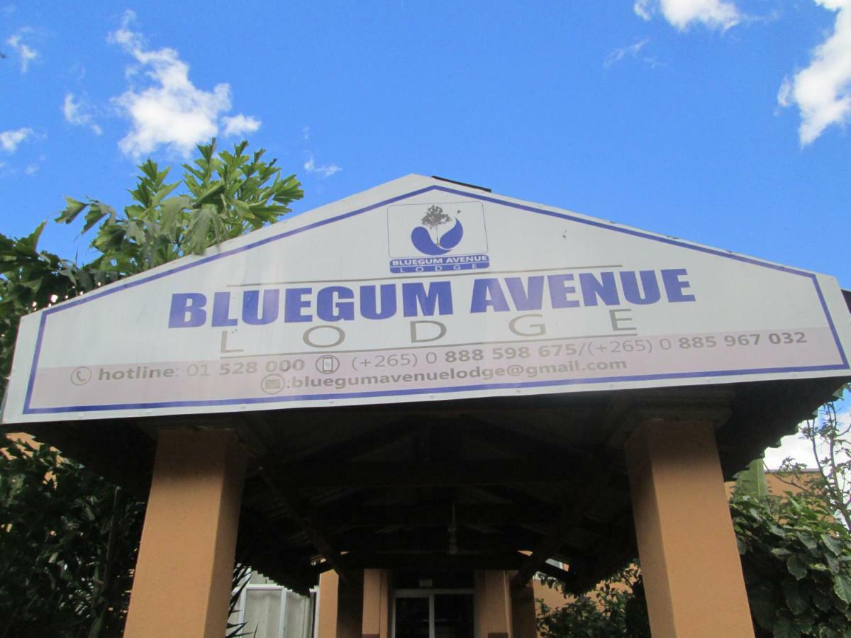 Bluegum Avenue Lodge 좀바 외부 사진